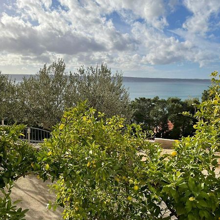 Apartment Ante Starigrad Paklenica Dış mekan fotoğraf